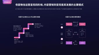 互聯(lián)網(wǎng)用戶與199it互聯(lián)網(wǎng)數(shù)據(jù)中心 數(shù)據(jù)服務的核心橋梁